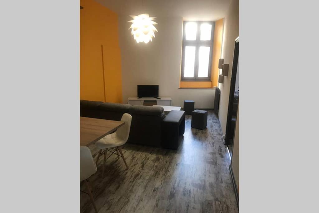 Le Bouvier Vesulien Apartment Vesoul Bagian luar foto