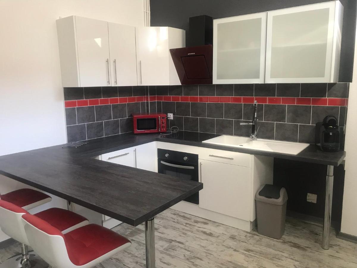 Le Bouvier Vesulien Apartment Vesoul Bagian luar foto